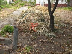 Bucuresti Noi - Parcul Bazilescu