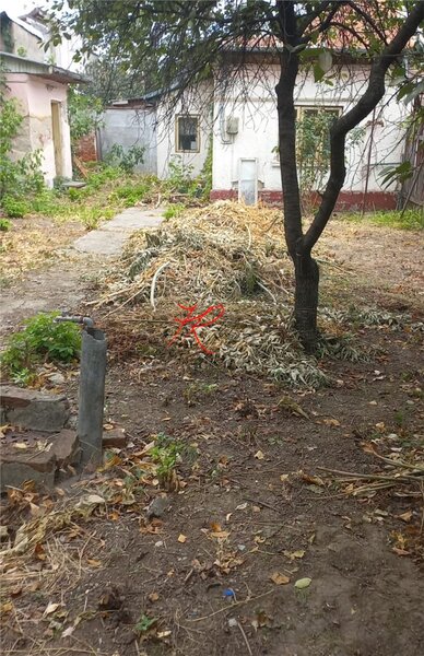 Bucuresti Noi, Parcul Bazilescu vanzare teren