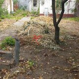 Bucuresti Noi, Parcul Bazilescu vanzare teren